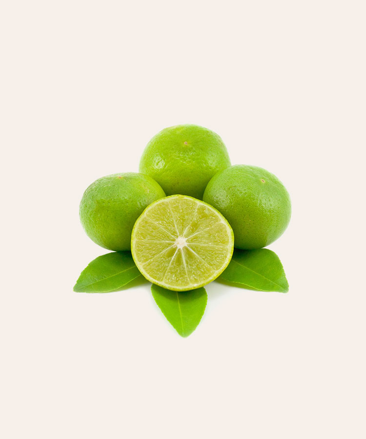 SPLIT KIWI - Image 3